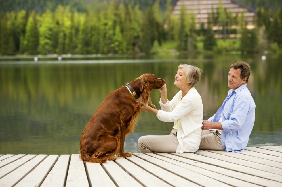 Prioritising Senior Pet Health: The Essential Role of Bi-Annual Vet Visits