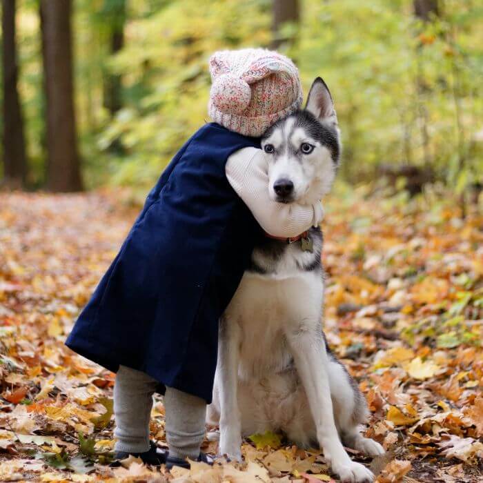 toddler hugging husky