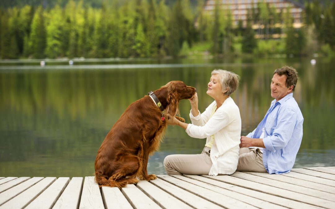 Prioritising Senior Pet Health: The Essential Role of Bi-Annual Vet Visits