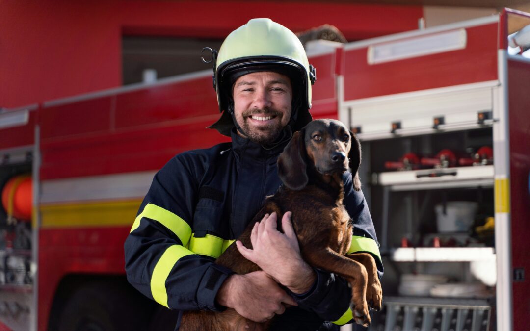 National Pet Fire Safety Day: Keeping Your Pets Safe