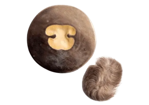 Fur match ceramic paw