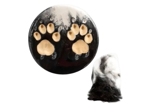 Fur match ceramic paw