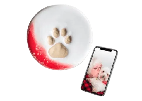 Fur match ceramic paw