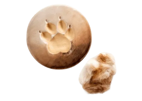 Fur match ceramic paw